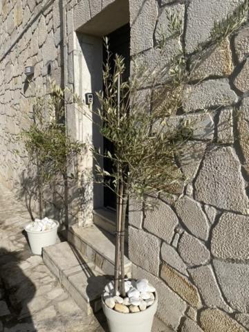 Afytos Sea View Apartment Екстериор снимка